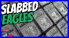 Collecting_Graded_American_Silver_Eagle_Coins_Start_Here_01_upzr