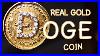 I_Made_A_Dogecoin_With_Real_Gold_And_Diamonds_01_nlw