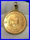 Pure_999_Fine_Gold_1974_Krugerrand_South_Africa_1oz_Coin_14k_Gold_Frame_Pendant_01_buuy