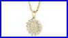 Pure_Solid_14k_Gold_Coin_Pendant_With_10k_Gold_Chain_And_Genuine_Diamonds_Item_No_5618_01_wwht